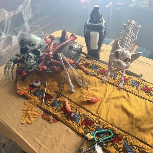 573062867_1413349197464352_8059439251029805477_n